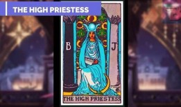 爆料塔罗牌阿狸怎么玩视频,跟随视频轻松入门